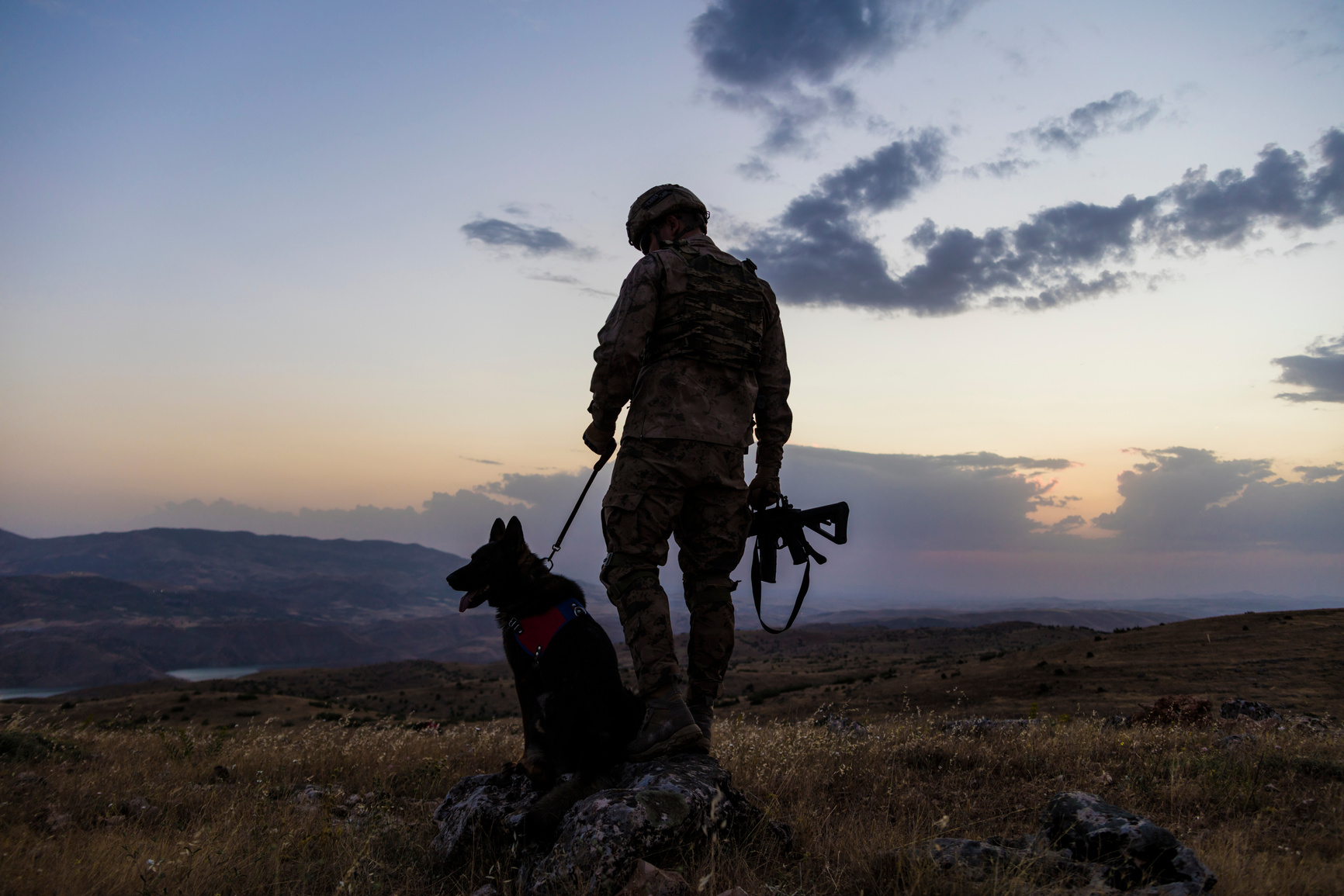 Military Dog and its soldier owner